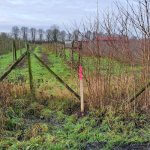 Mikrohaussiedlung-Coesfeld-06