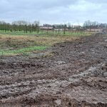 Mikrohaussiedlung-Coesfeld-08