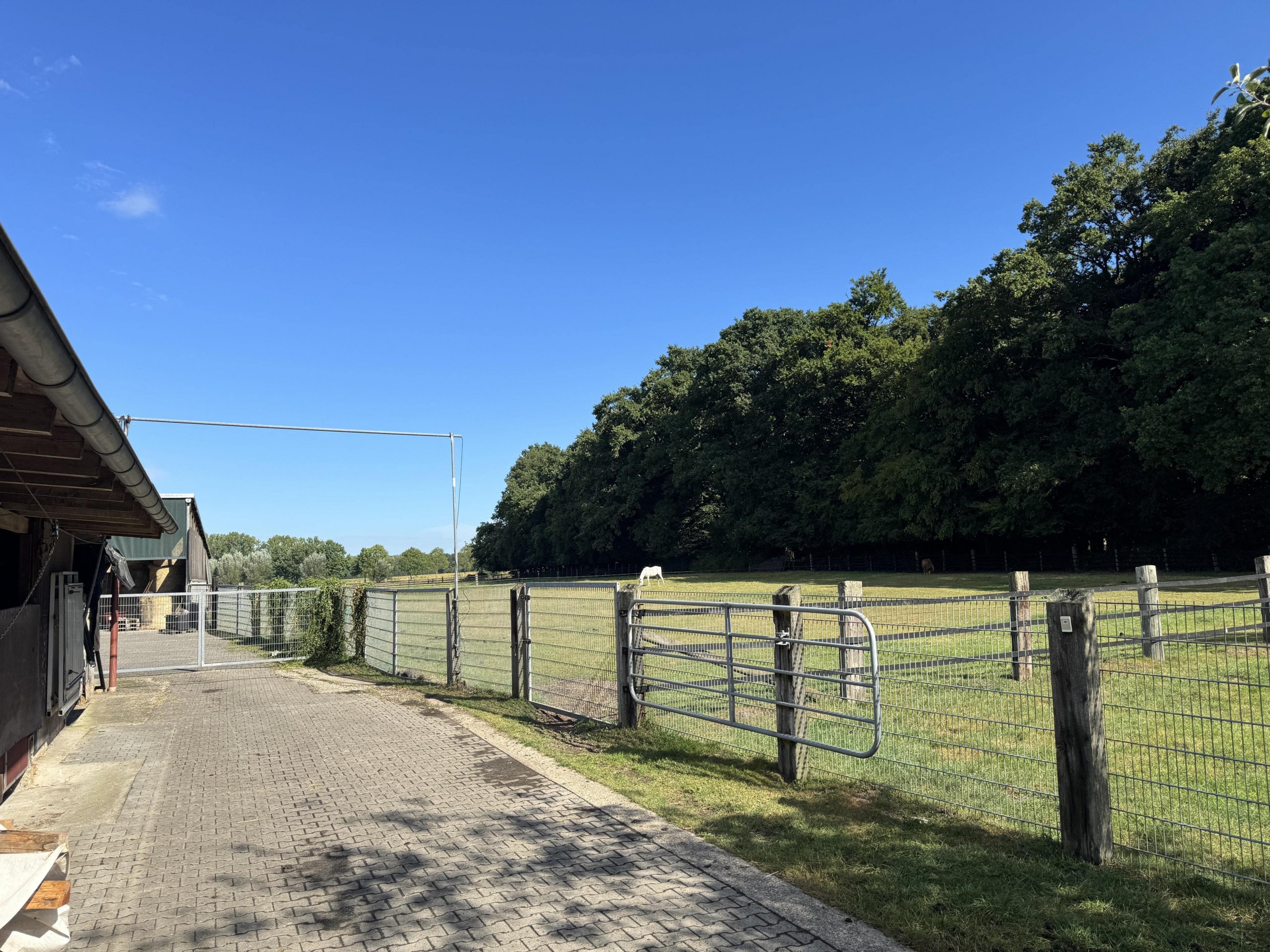 Ländliches Anwesen mit drei Wohneinheiten, Scheune, zwei Stallungen und Weideflächen in Selm