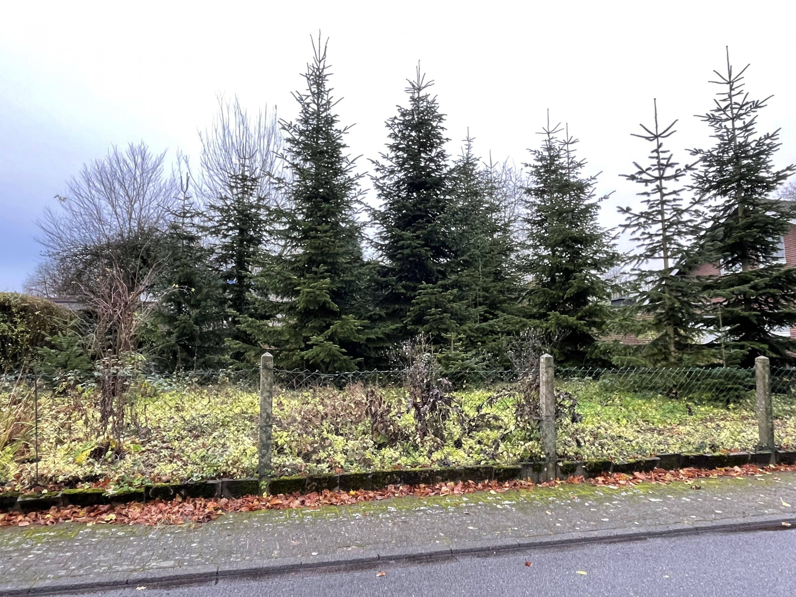 RARITÄT – Attraktives Baugrundstück in einem gewachsenem Wohngebiet in Coesfeld.