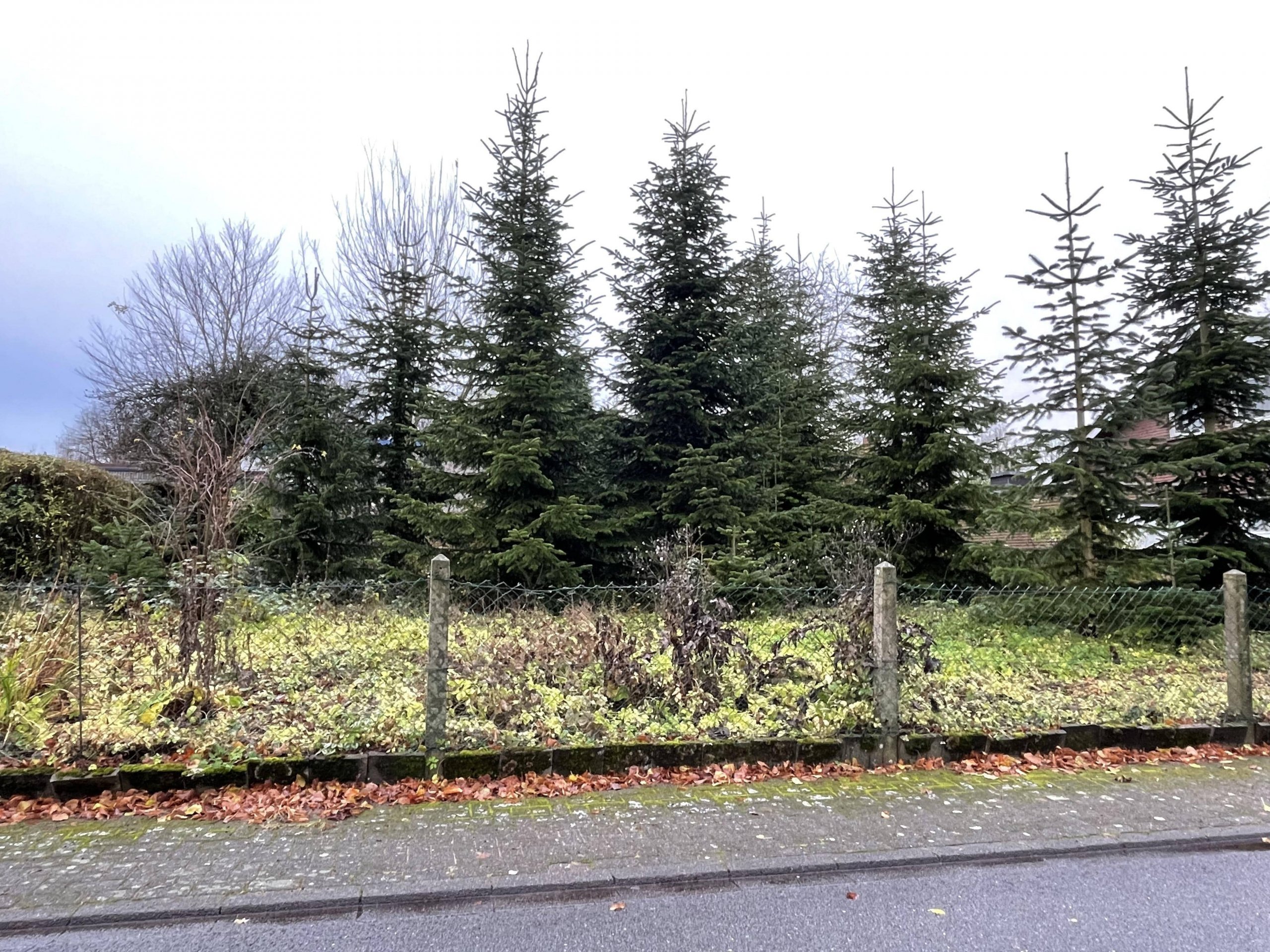 RARITÄT – Attraktives Baugrundstück in einem gewachsenem Wohngebiet in Coesfeld.