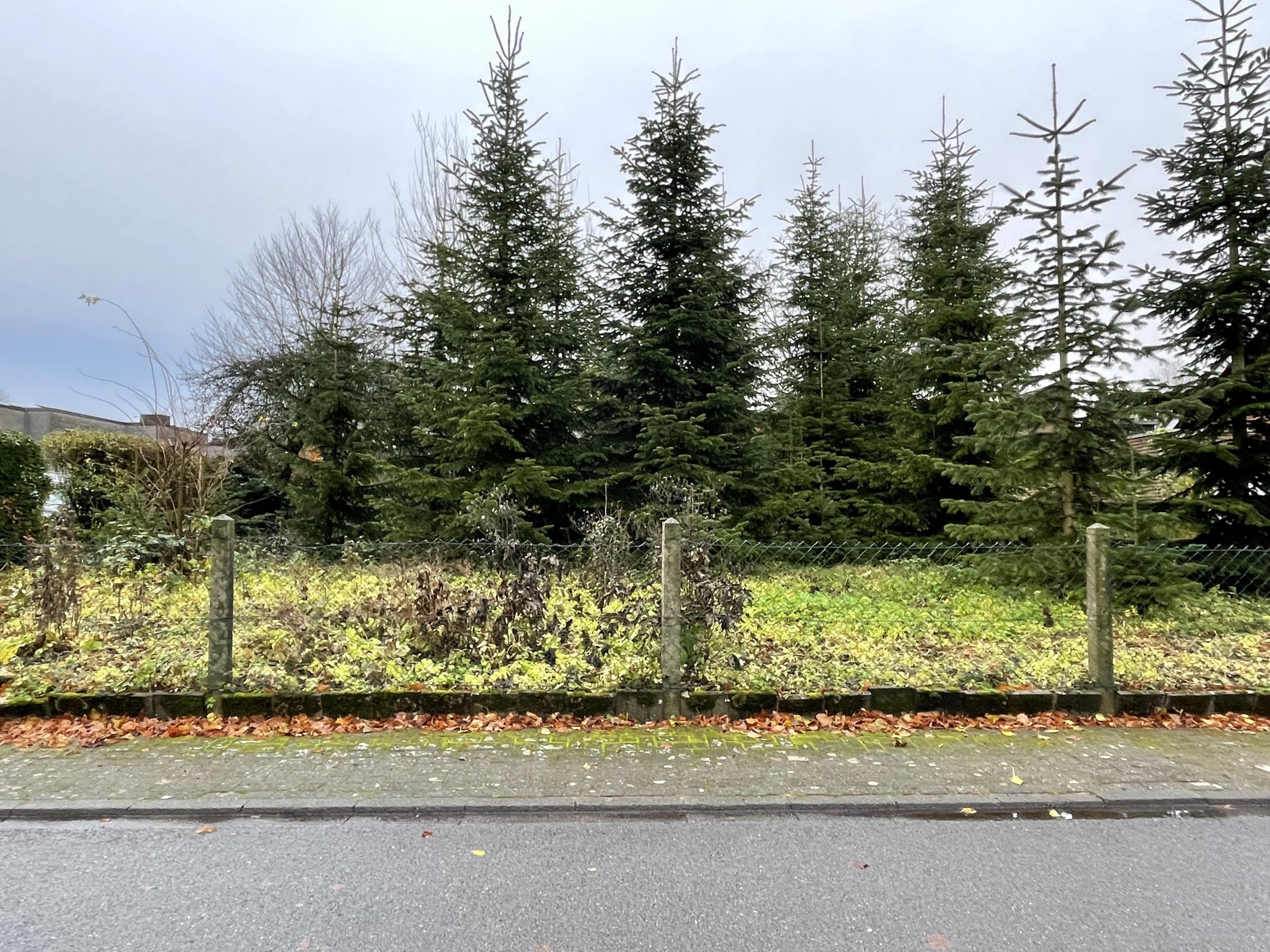 RARITÄT – Attraktives Baugrundstück in einem gewachsenem Wohngebiet in Coesfeld.