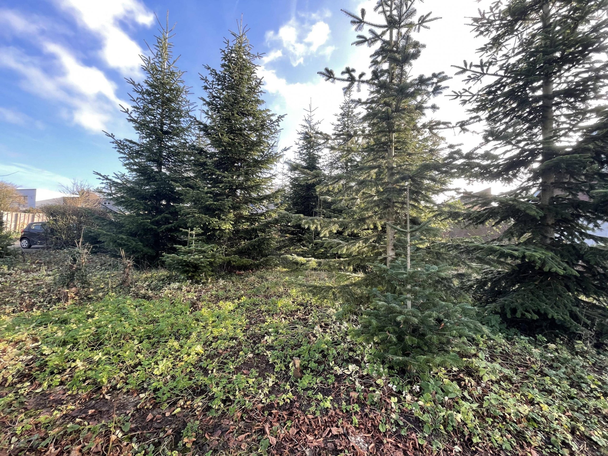 RARITÄT – Attraktives Baugrundstück in einem gewachsenem Wohngebiet in Coesfeld.