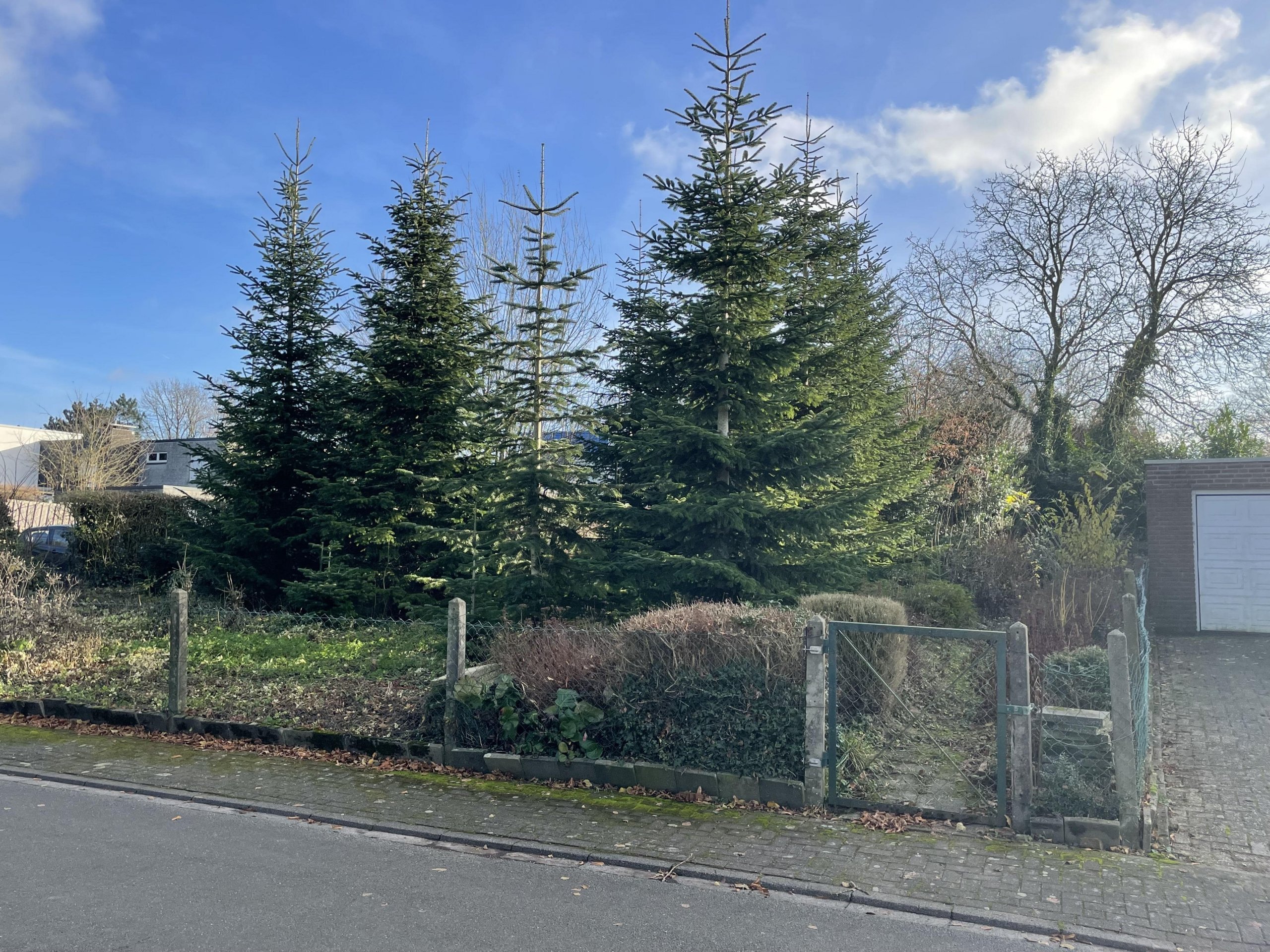 RARITÄT – Attraktives Baugrundstück in einem gewachsenem Wohngebiet in Coesfeld.