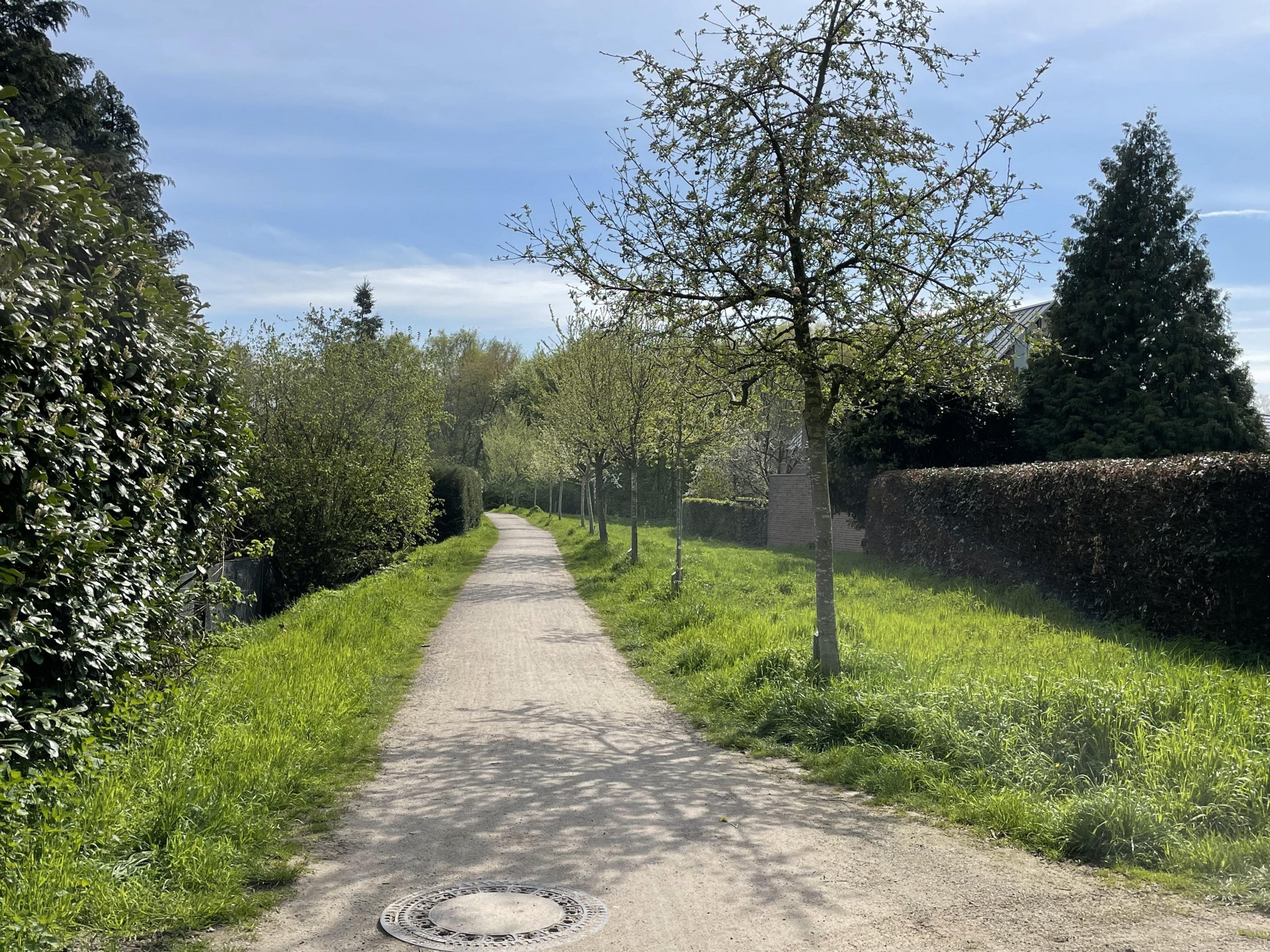 Neubau in Borken-Gemen: Freistehendes Einfamilienhaus zum FESTPREIS! Bezugsfertig Anfang 2026