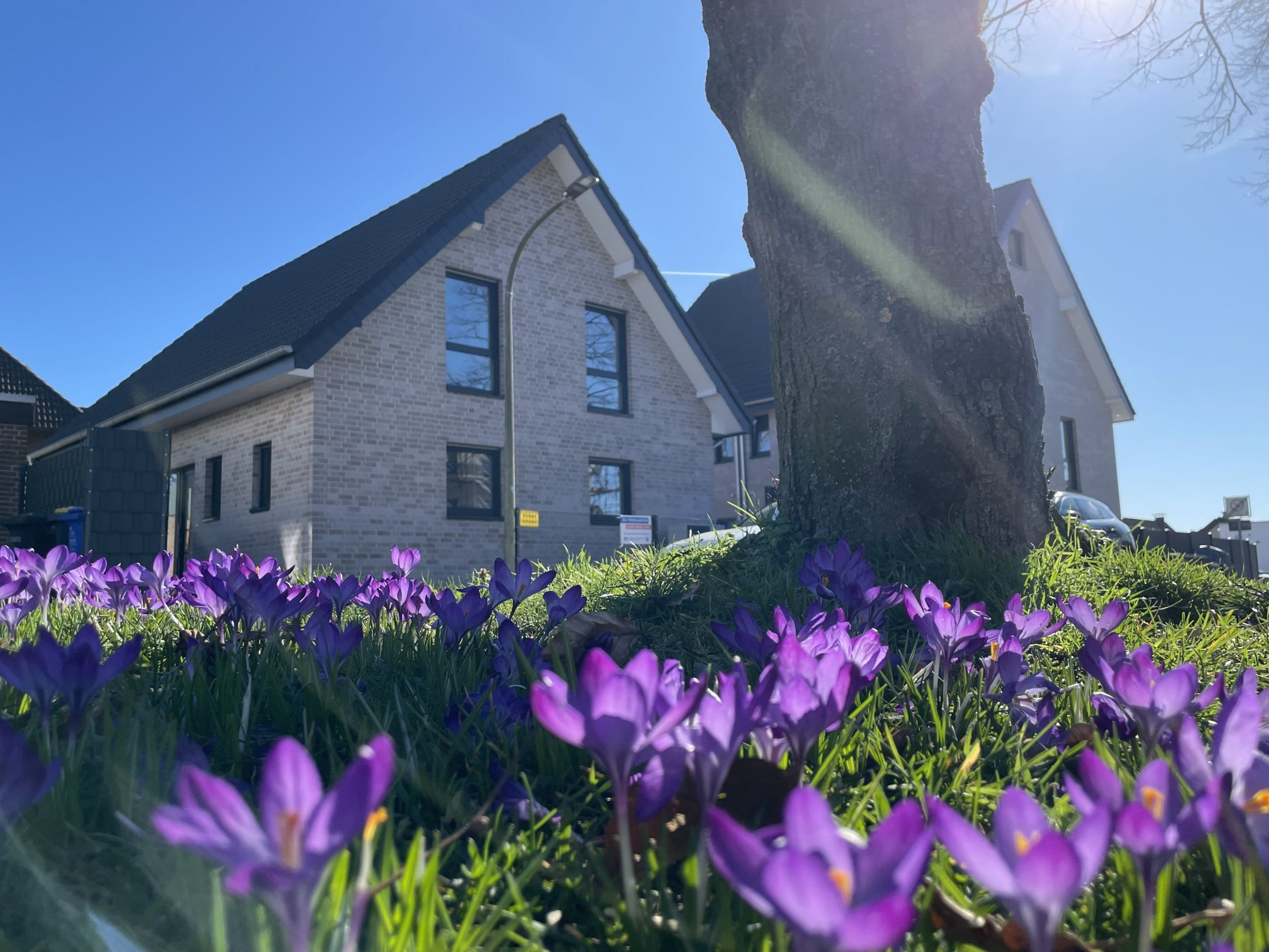 Neubau in Borken-Gemen: Freistehendes Einfamilienhaus zum FESTPREIS! Bezugsfertig Anfang 2026