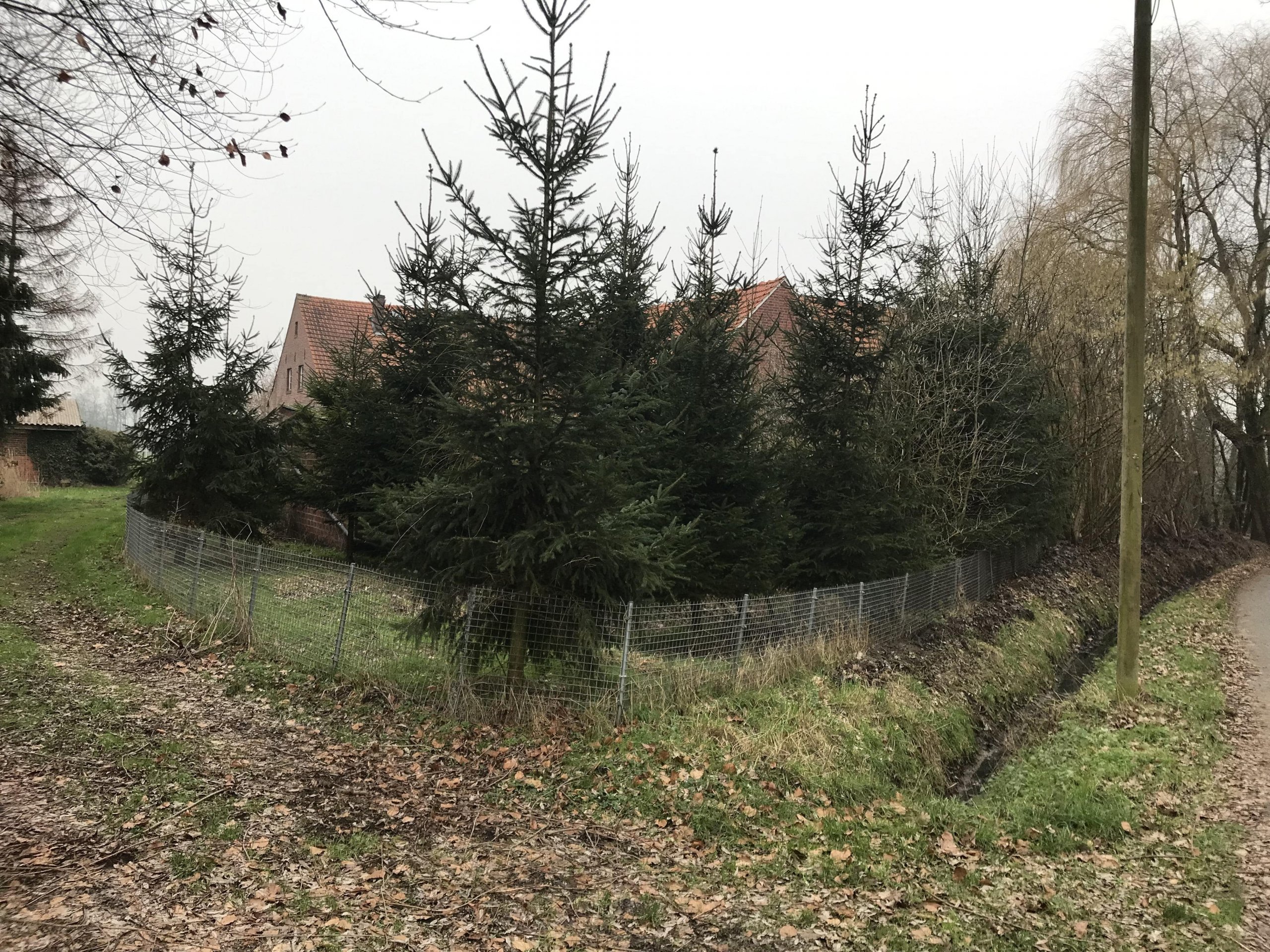 Alte Hofstelle bietet diverse Nutzungsmöglichkeiten