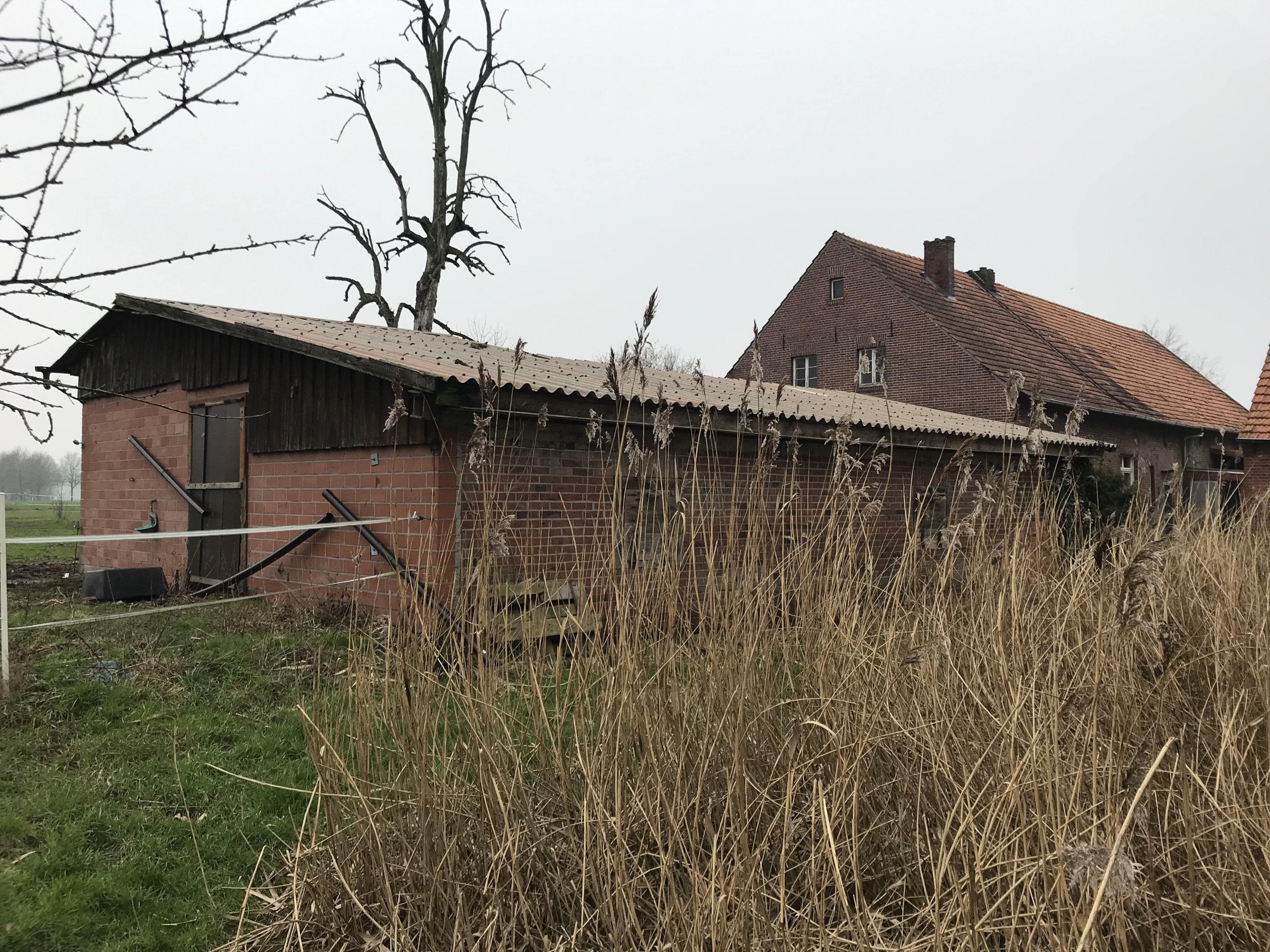Alte Hofstelle bietet diverse Nutzungsmöglichkeiten