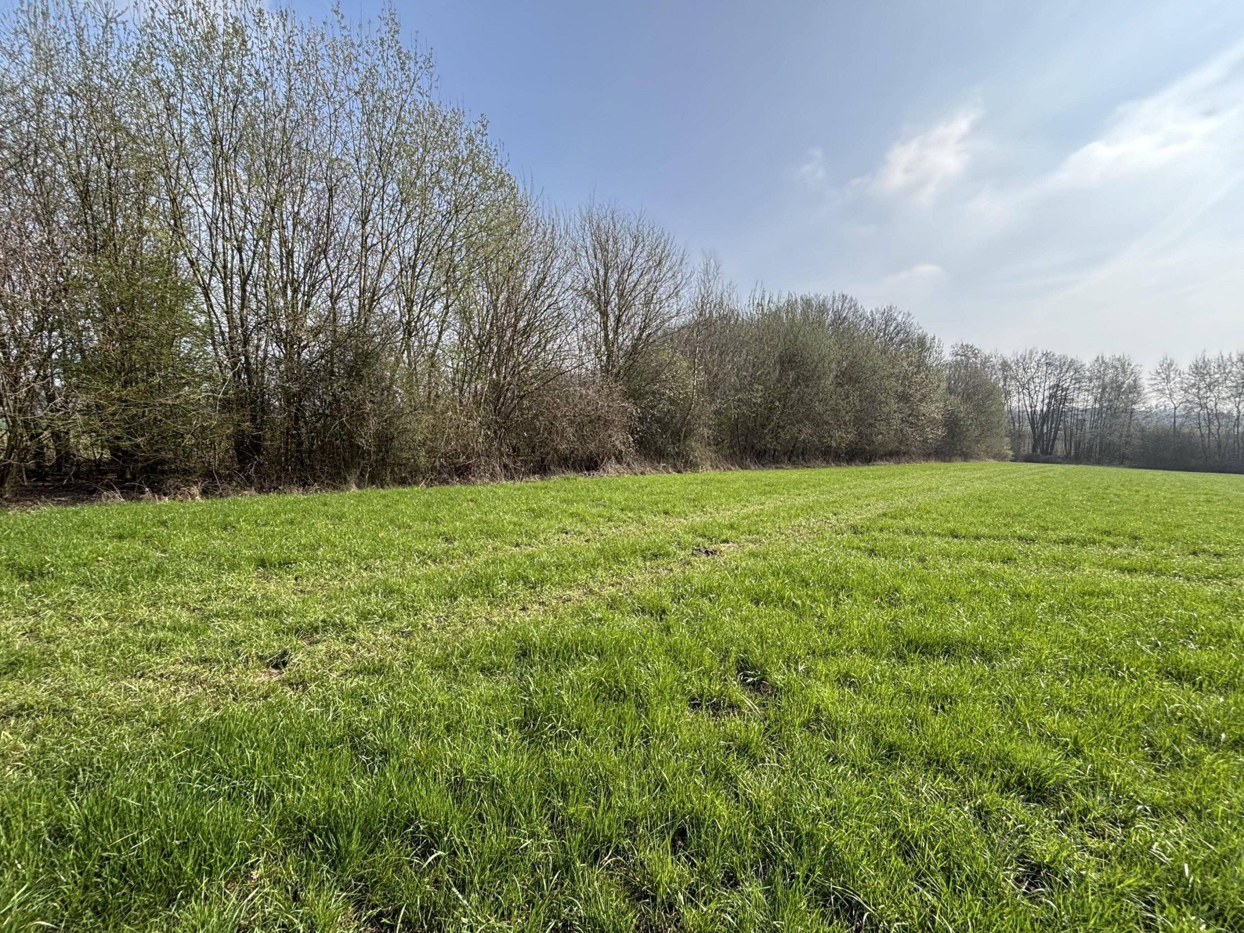 Landwirtschaftliche Fläche in Haltern am See!