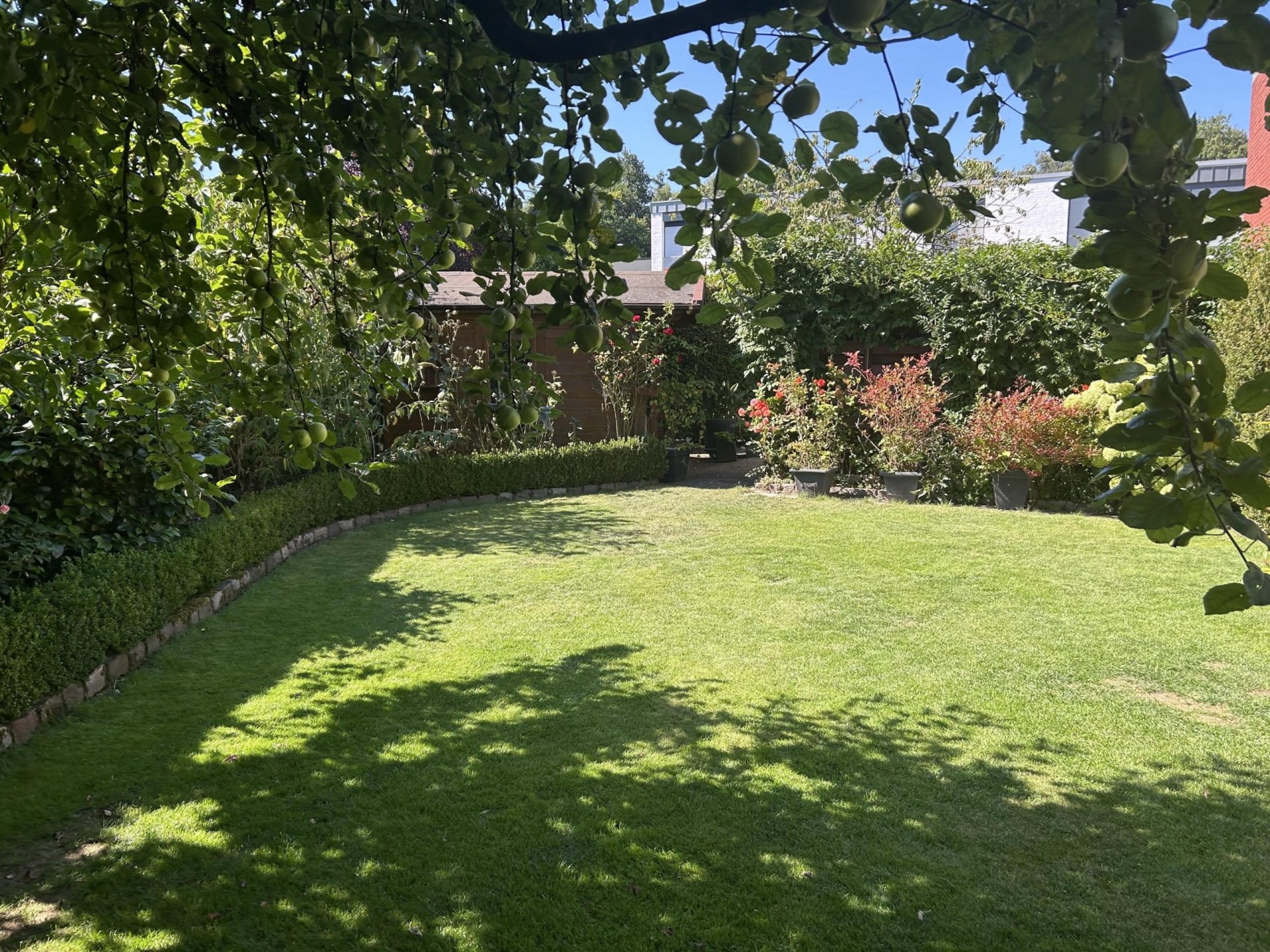 Schöner Garten wartet auf
kleine Familie mit Kindern 😊