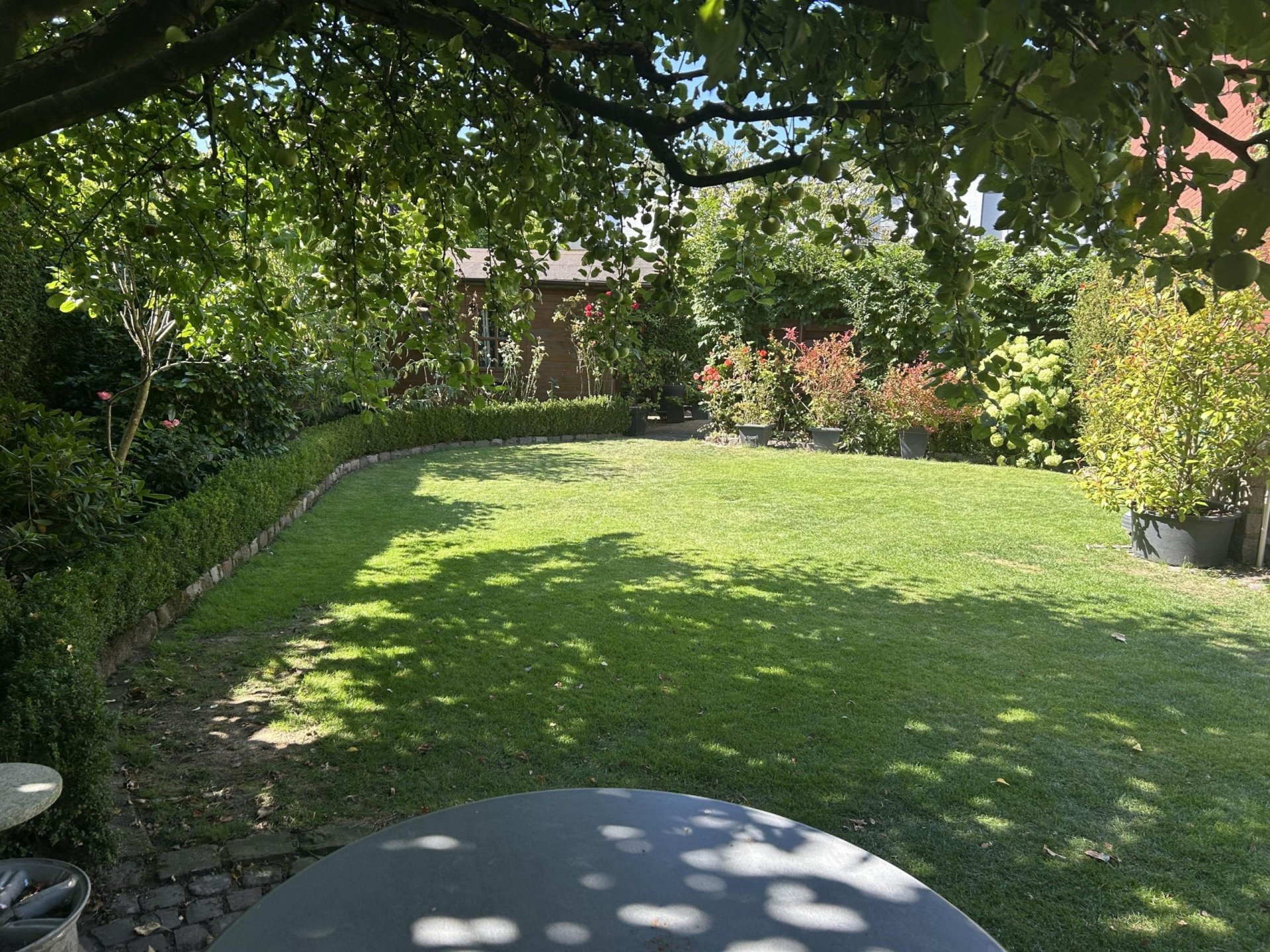 Schöner Garten wartet auf
kleine Familie mit Kindern 😊