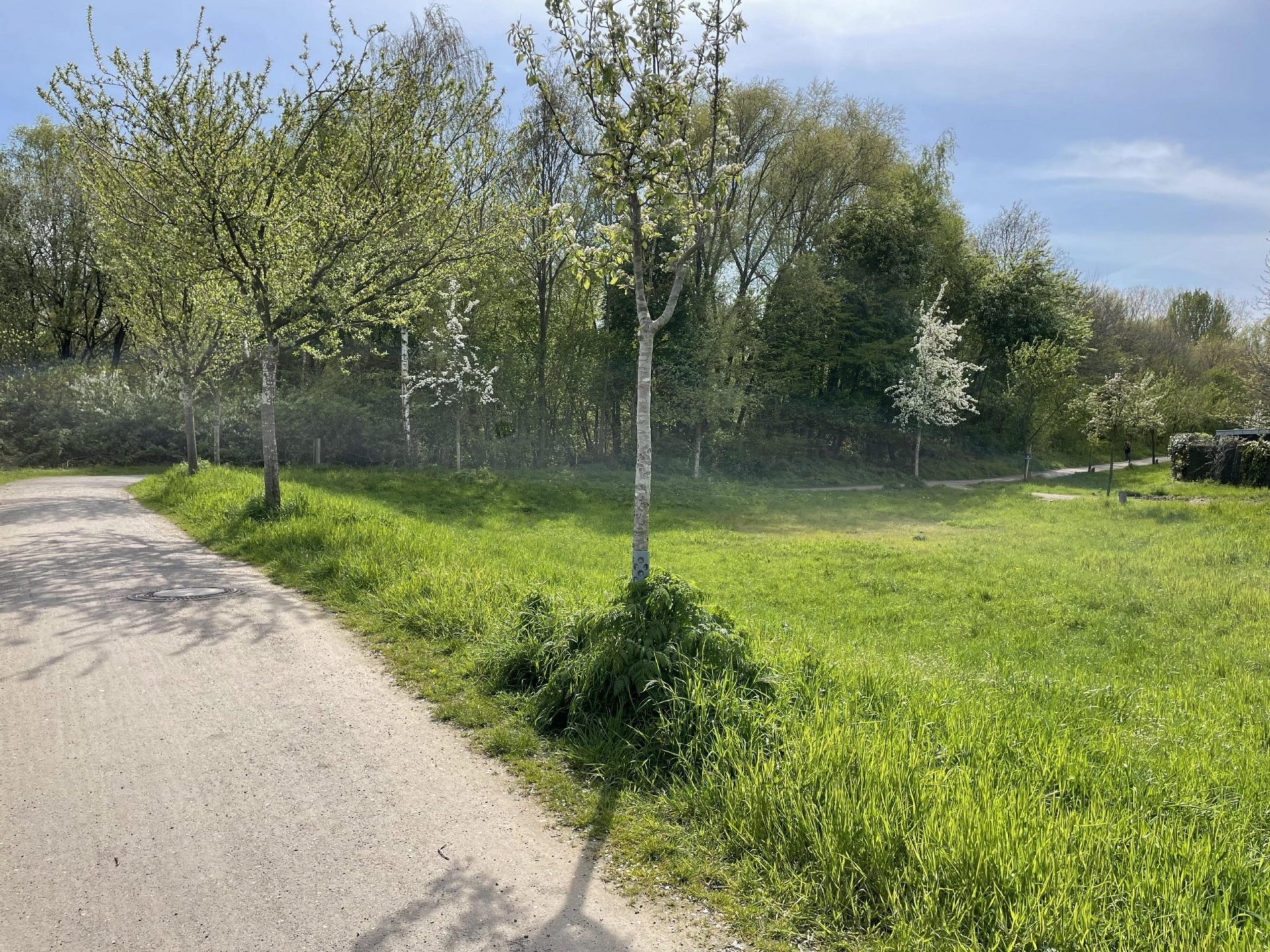 PREISREDUZIERUNG: Erstbezug, exklusives, freistehendes Einfamilienhaus in Borken-Gemen!