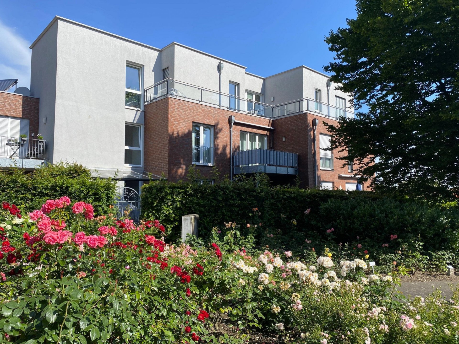 „Haus Rosenzeit“ – komfortabel und hochwertig wohnen in Lüdinghausen-Seppenrade!