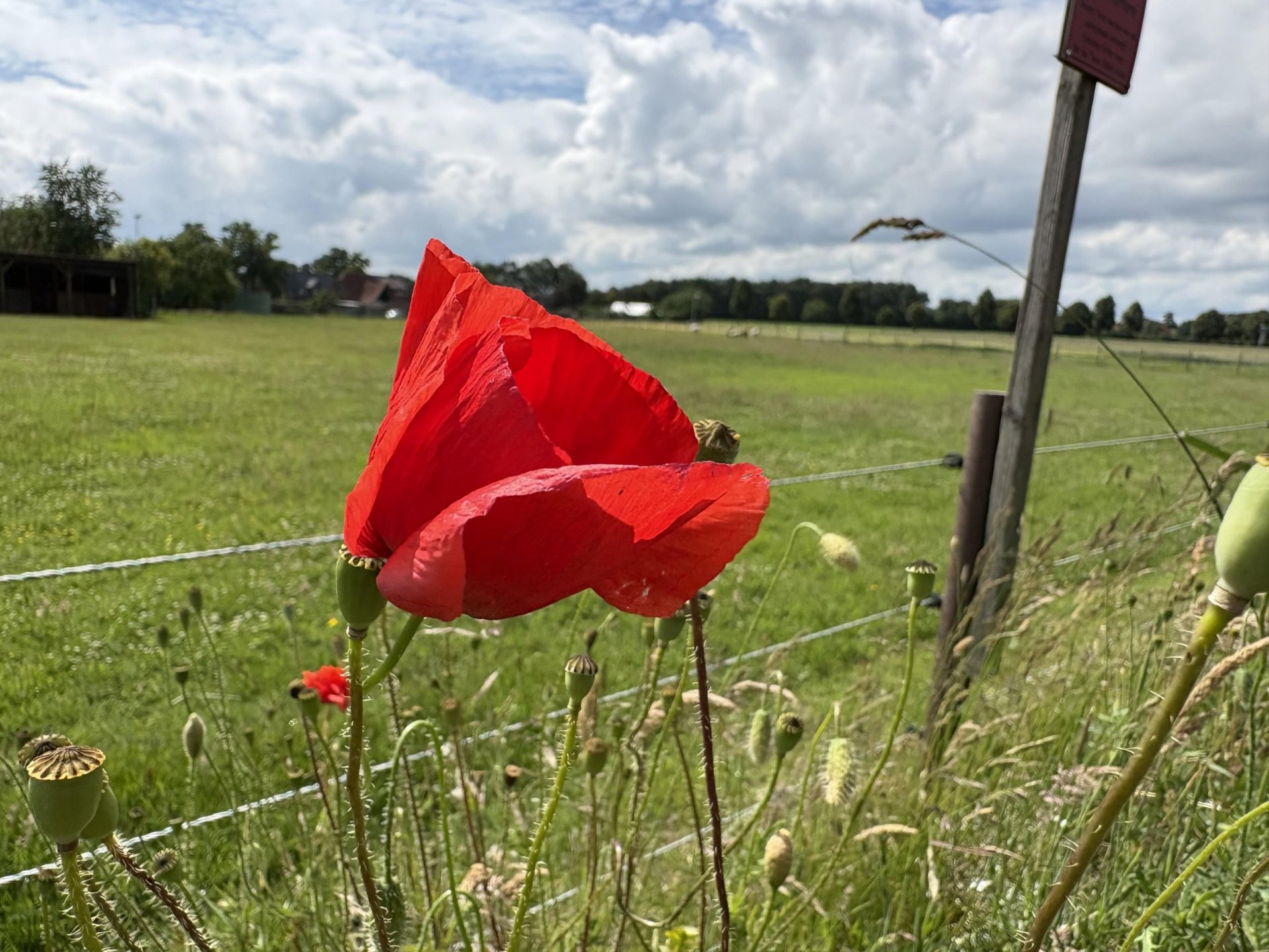 Höners Esch – vermietete Doppelhaushälfte – Dülmen-Merfeld