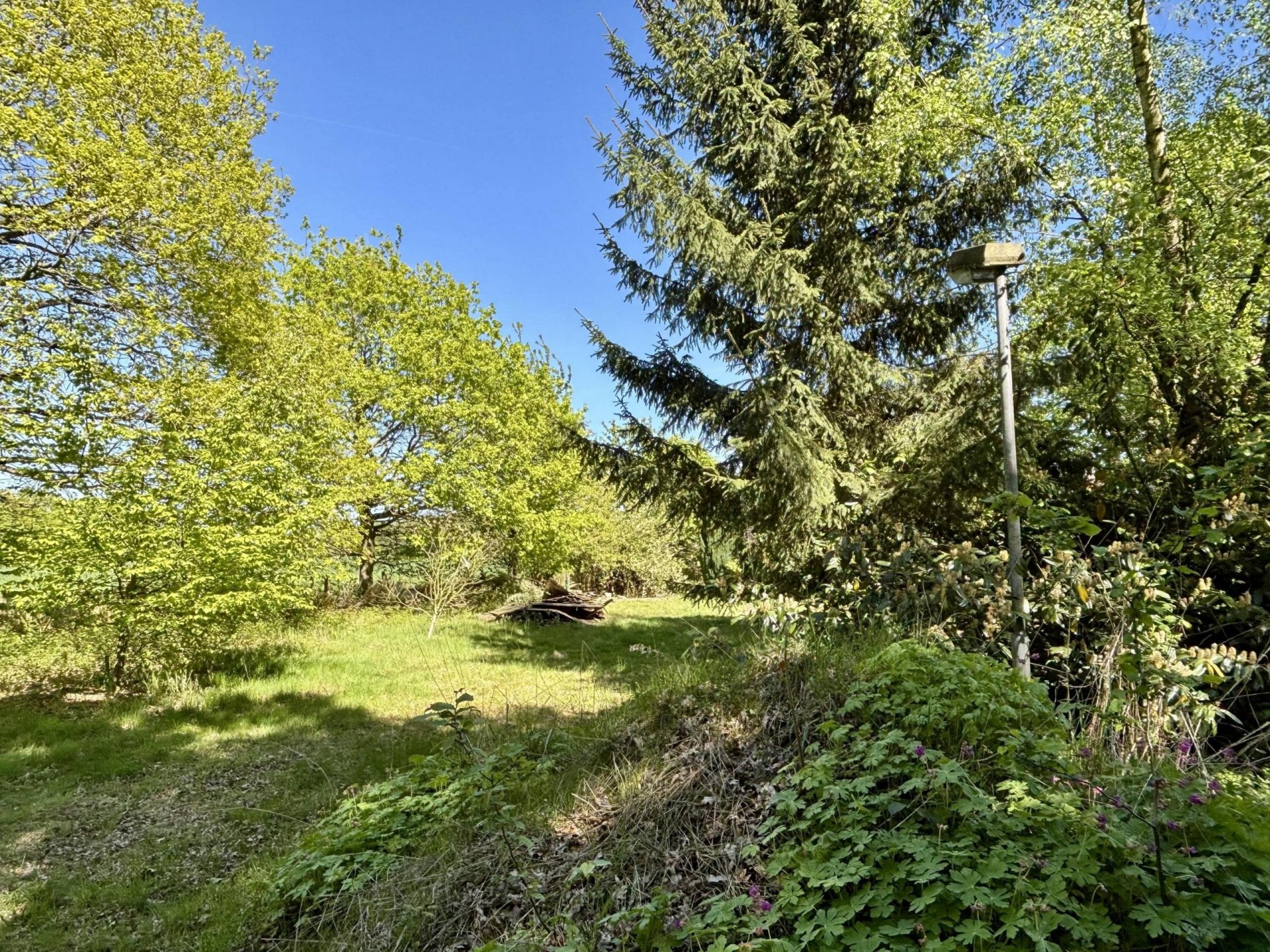 Viel Platz für Ihre Ideen – Einfamilienhaus mit großem Grundstück im Außenbereich von Lüdinghausen