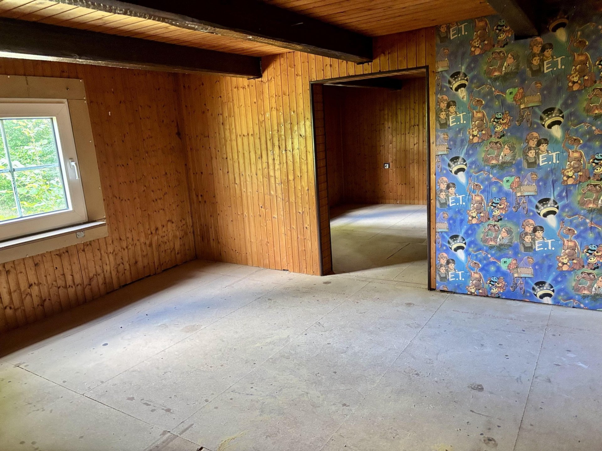 Viel Platz für Ihre Ideen – Einfamilienhaus mit großem Grundstück im Außenbereich von Lüdinghausen