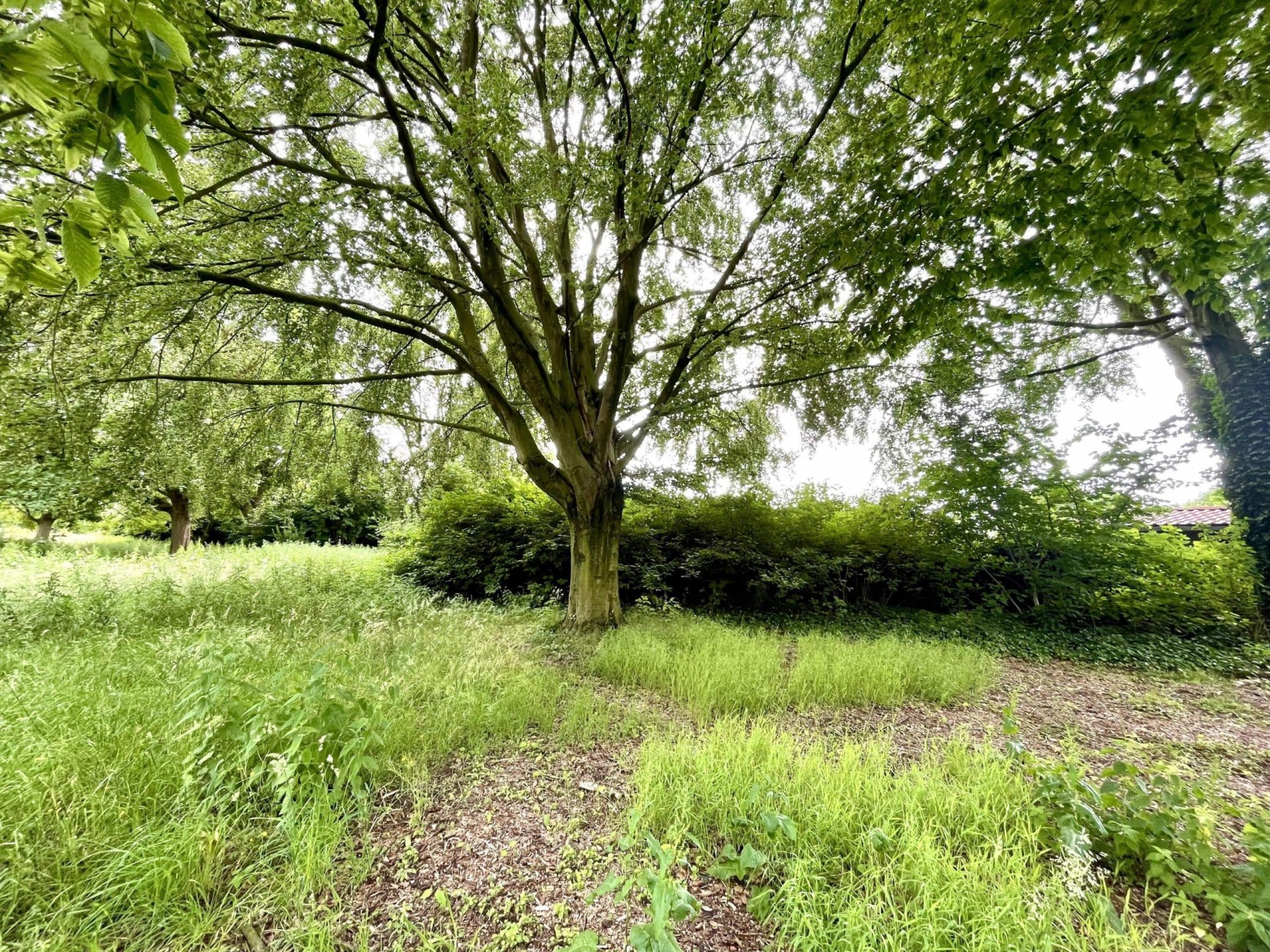 Freizeit- und Erholungsgrundstück in den „Vennegärten“ am Stadtpark in Borken! – Bieterverfahren –