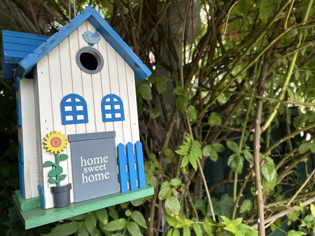 Ihr neues Zuhause mit traumhaftem Garten und reichlich Platz!!!
