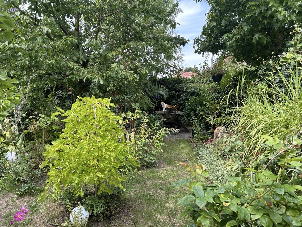 Ihr neues Zuhause mit traumhaftem Garten und reichlich Platz!!!