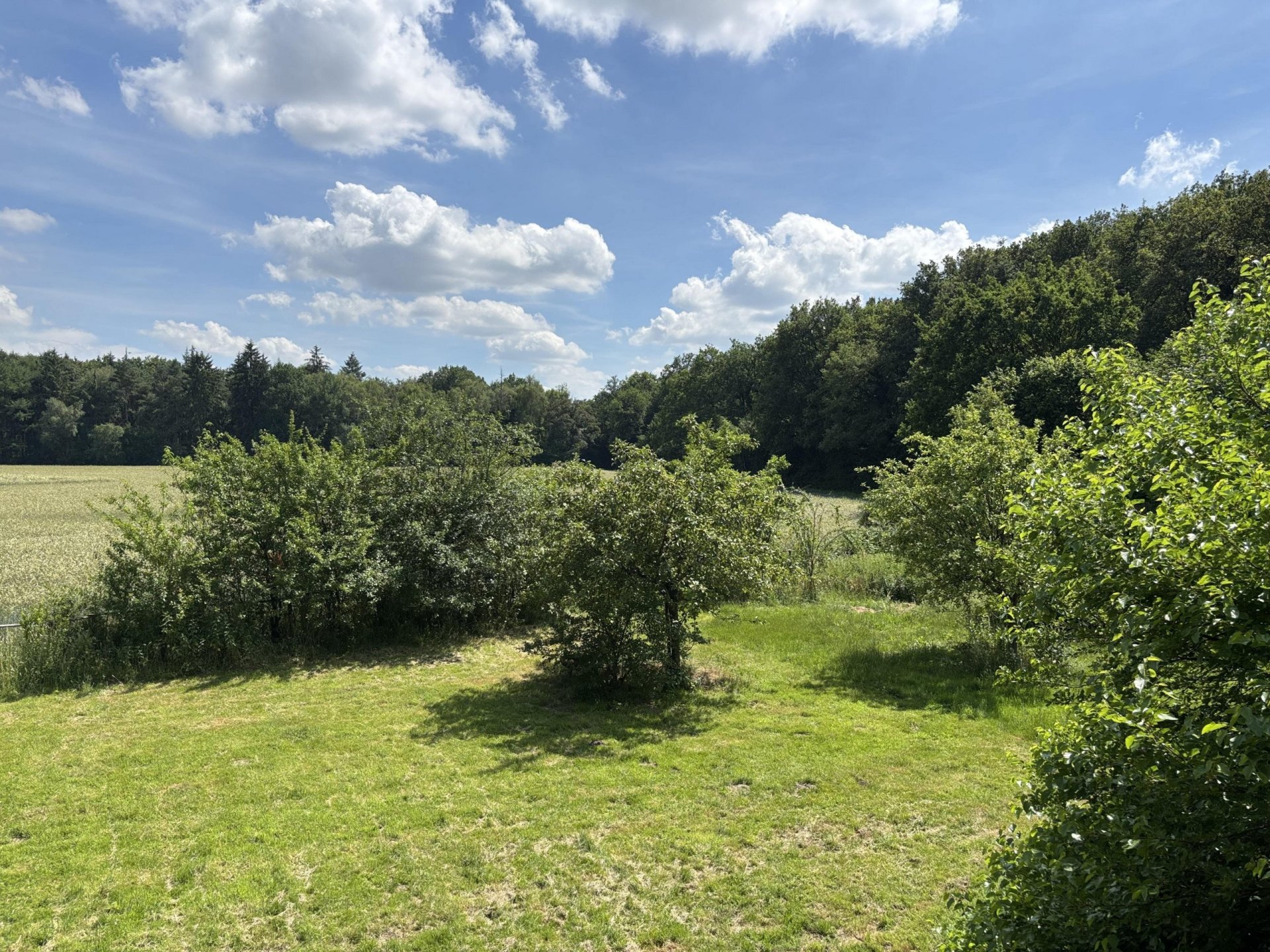 Resthof mit Stallungen und Scheune im Außenbereich von Ascheberg!